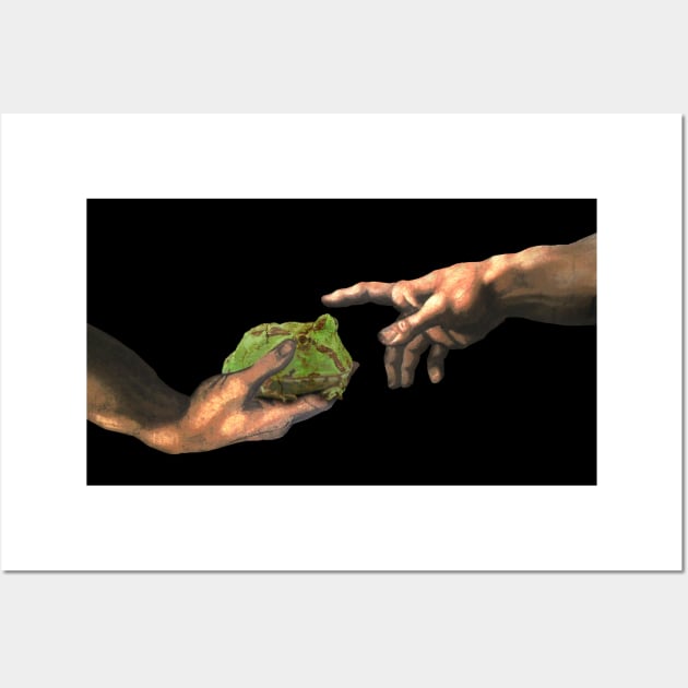 Creation of Horned Frog Wall Art by FandomizedRose